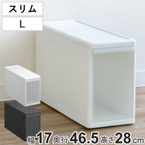 収納ケース スリム L 幅17×奥行47×高さ28cm プラスチック 引き出し 収納 （ 収納ボックス 衣装 ケース ボックス 日本製 クローゼット収