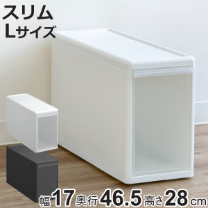 収納ケース スリム L 幅17×奥行47×高さ28cm プラスチック 引き出し 収納 （ 収納ボックス 衣装 ケース ボックス 日本製 クローゼット収