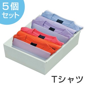 仕切りケース 幅27×奥行33×高さ9cm Tシャツ用 5個セット （ 下着 仕切り 収納 間仕切り ケース 収納ケース 収納ボックス インナーケー