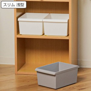 JTR コンテナースリム浅 （ 幅19×奥行27.3×高さ13cm 収納ケース カラーボックス インナーボックス プラスチック 小物収納 収納 ボック