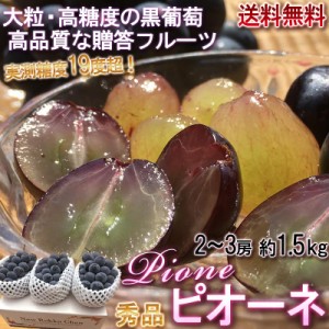 ピオーネ 種無し葡萄 約1.5kg 2〜3房入り 大粒限定 秀品 山梨県中心 化粧箱入り 上品な香りと味わいの贈答用ぶどう！