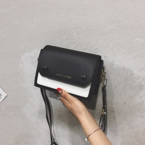 スモールバッグ  レディース バッグ カバン bag PU ショルダーバック オールシーズン 斜めがけバッグ ミニバッグ 斜めがけ 肩がけ コンパ