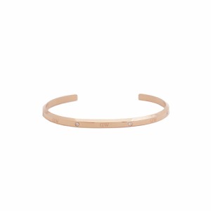 ダニエルウェリントン DANIEL WELLINGTON CLASSIC LUMINE BRACELET RG バングル DW00400531 レディース ローズゴールド