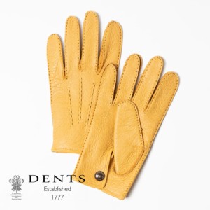  DENTS ペッカリー Clifton グローブ 裏地なし クリフトン 15-1043 (MENS) メンズ 男性 革手袋 本革