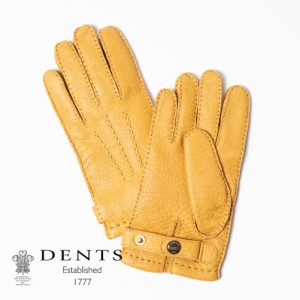 DENTS ペッカリー Hampton グローブ カシミヤ ライニング ハンプトン 15-1564 (MENS) メンズ 男性 革手袋 本革