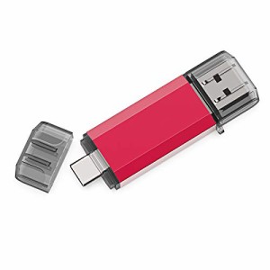 RAOYI TypeC USBメモリ 32GB USB3.0 タイプCフラッシュドライブ 2in1 高速デュアルフラッシュディスク（TypeC+USB3.0） OTG キャップ式 (