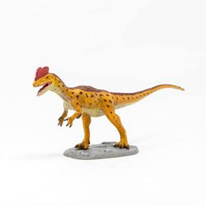 中古】Papoパポ ディロフォサウルス PVC PA55035（新しい季節