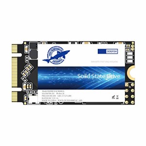 Dogfish M.2 2242 SSD 256GB Ngffの内部のソリッドステートドライブ高性能ハードドライブ Solid State Drive (256GB, M.2 2242)