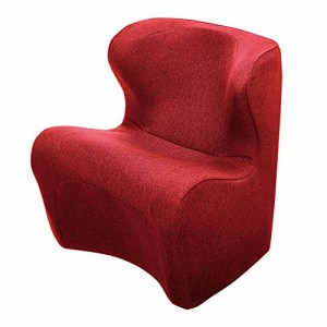 スタイル ドクターチェアプラス(Style Dr.CHAIR Plus) MTG(エムティージー) [メーカー純正品] 姿勢矯正 腰痛 骨盤サポートチェア 座椅子