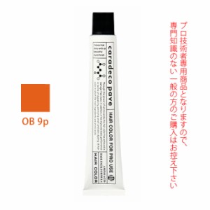 ナカノ キャラデコ パブェ ベーシックゾーン OB 9p オレンジブラウン 80g （第1剤） 医薬部外品