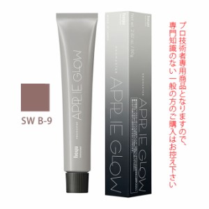 ホーユー プロマスター アプリエグロー SW B-9 スウィートベージュ 80g 医薬部外品