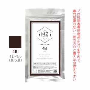 MZカラー 4B ブラウン 120g 【医薬部外品】 和漢ハーブカラー