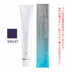 ホーユー プロマスター アプリエ VIOLET バイオレット 80g 医薬部外品