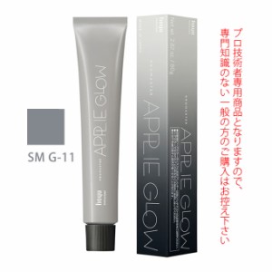 ホーユー プロマスター アプリエグロー SM G-11 スモーキーグレージュ 80g 医薬部外品