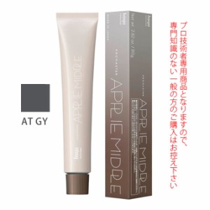 ホーユー プロマスター アプリエミドル AT GY アンティークグレー 80g 医薬部外品