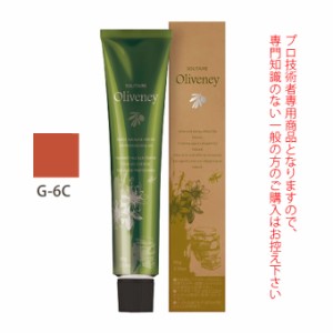 アモロス ソリティア オリヴァニー G-6C（カッパー） 90g （第1剤） 医薬部外品