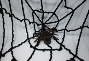 パーティーグッズ 大きな蜘蛛の巣＆蜘蛛セット (黒)