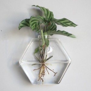 フラワーベース 花瓶 壁掛け用 薄型 ガラス製 2個セット (六角形)