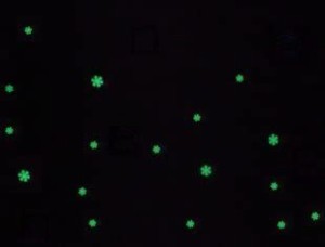 ウォールステッカー 暗い所で光る 雪の結晶 大小20枚 (グリーン)