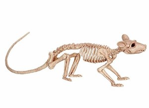 置物 模型 骸骨 グロテスク ユニーク (ネズミ)
