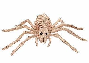 置物 模型 骸骨 グロテスク ユニーク (蜘蛛)