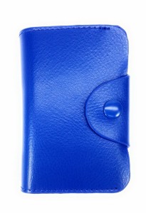 カードケース 財布 シンプル 蛇腹 コンパクト (ブルー)