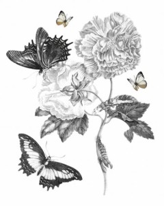 ウォールステッカー 大きな花と蝶々 シックなモノトーン 手描き風