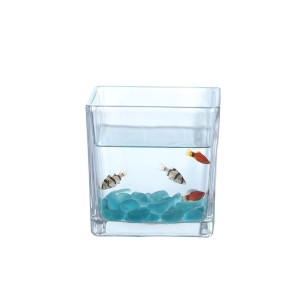 ガラス鉢 ミニ金魚鉢 角型 シンプル (小サイズ)