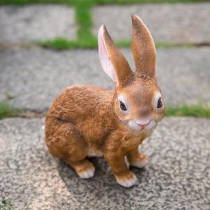 ネザーランド ドワーフ 大人の通販 Au Pay マーケット