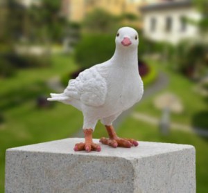 ガーデンオーナメント 置物 たたずむ白い鳩 (Dタイプ)