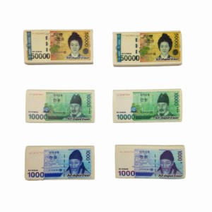 おもしろ消しゴム 世界のお札 お金 6個セット (韓国ウォン)