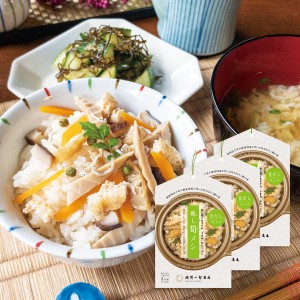 乾し筍メシ 2合用3個セット 料理の素 竹の子ご飯の素 炊き込みご飯の素 調味料 化学調味料不使用 タケノコごはん 九州ごはん 料理の素
