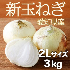 新玉ねぎ 愛知県産 国産野菜 新鮮 サラダ用 たまねぎ 辛くない 2L 3kg 岐阜県 ※期間限定商品 ポイント消化