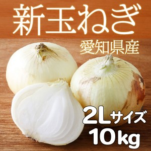 新玉ねぎ 愛知県産 国産野菜 新鮮 サラダ用 たまねぎ 辛くない 2L 10kg 岐阜県 ※期間限定商品