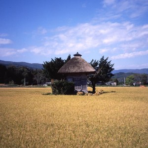 岩手県産 最上位米金銀各2kg セット お米 食べ比べ 白米 金色の風 銀河のしずく 米 詰合せ 国産 精米 河判