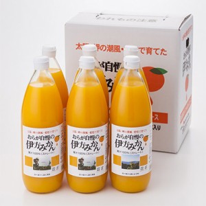 フルーツジュース おらが自慢の伊方みかんジュース 6本 セット 1000ml ジュース 果汁 100% オレンジジュース クリエイト伊方 愛媛県