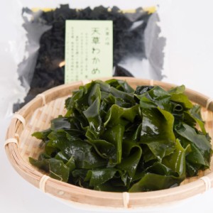 人気 詰め合わせ 送料無料 贈り物 天草わかめ〔50g×3〕 あおき屋 熊本県