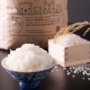新潟県産コシヒカリ 農家直送 コシヒカリ 米 10kg お米 新潟 せいろうこそだて米 精白米 美味しいお米 新潟県