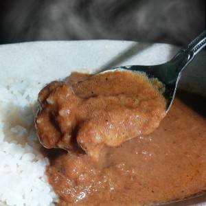 海老カレー レトルトカレー マイルド 高級 国産 ココえび狩リー セット ご当地カレー エビカレー 山口県