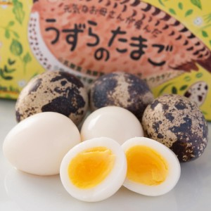 うずらの卵 命のカプセル ギフトパック 生卵 うずらの玉子 燻製 殻割ハサミ うずら 卵 ウズラ 鶉 国産 静岡県