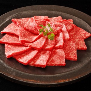 神戸ビーフ 網焼き肉 モモ 500g 牛脂付 神戸牛 牛肉 和牛 国産 冷凍