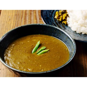 カレーで巡る京の味 こと京都 九条ねぎカレー 20食 カレー 惣菜 レトルトカレー