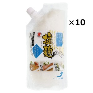 塩麹 250g10本 調味料 麹 下味 塩こうじ 料理の素 塩味 味付け 手軽