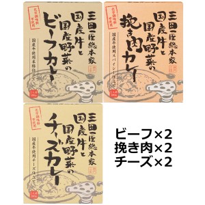 三田屋カレー 3種6個 詰合せ レトルトカレー あたためるだけ 惣菜 常温 レトルト