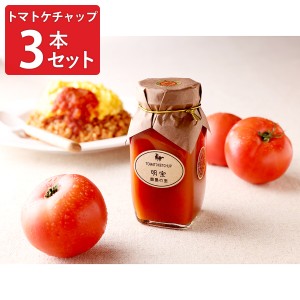 明宝トマトケチャップ 280g×3本 セット ケチャップ 調味料 トマト 明宝