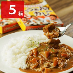 ごっつぁんカレー シーフード 中辛 5箱セット レトルトカレー カレー