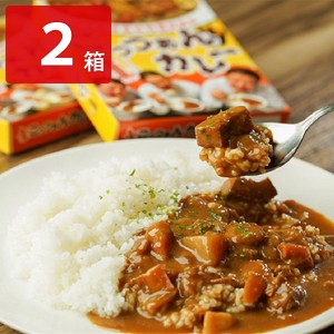 ごっつぁんカレー シーフード 中辛 お試し 2箱セット レトルトカレー ポスト投函便