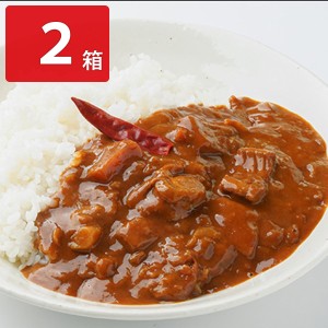 ごっつぁんカレー シーフード 鬼辛 お試し 2箱セット レトルトカレー 辛口 海鮮 ポスト投函便