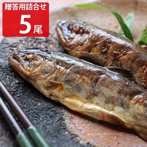 贈答用 よしだほんてんの味 詰め合わせ5尾 惣菜 国産 ご飯のお供