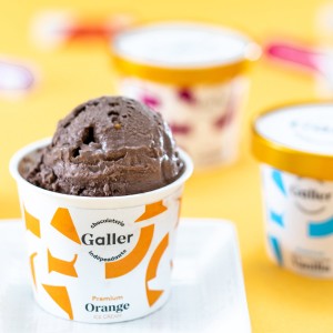 ガレー プレミアムアイスクリーム 8個セット 4種 詰め合わせ アイスクリーム【離島 お届け不可】